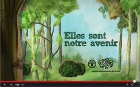 Le but est de réfléchir sur les conditions des femmes dans le monde et de lutter contre les inégalités face aux. Le Maroc A Celebre La Journee Internationale De La Foret Sous Le Theme Les Forets Une Source D Energie Naturelle Vivafrik Actualite