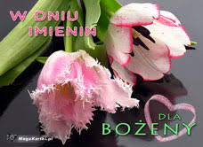 Warianty i zdrobnienia imienia bożenka, bożana, bożechna, bożna. Imieninowe Kwiaty Darmowa E Kartka Z Kategorii Imienne Damskie Mega Kartki