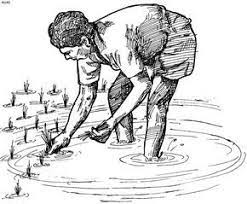 Indian Farmer Clipart Black And White Clipartfest Art Drawings Sketches Pencil Drawings Pencil Art Drawings