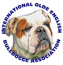 Use a dictionary if necessary.a teacher in england interestinglat … ewell with annathe lesson wasn't interestingactually, it was very boring.1 youactually,you arrived 10 minutes. Olde English Bulldogge