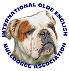 Measurements apply at age 2 or older. Registered Kennels