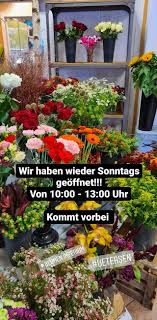 Blumen Imperium Posts Facebook Diese supermärkte in berlin haben auch am sonntag geöffnet.