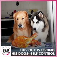 Here are some pieces of outdates advice you should avoid. Bad Parenting Moments Videos Facebook