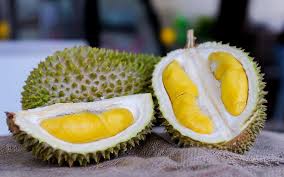 Saking enaknya, kepopuleran durian ini bahkan menyaingi durian. Info Sejarah Asal Usul Durian Musang Rahsia Pokok Subur Facebook