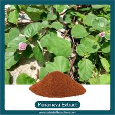 Image result for Boerhavia diffusa