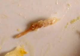 Den goda smaken och krispigheten gör varje kycklingnuggetslunch till en fest. Konsument Frammande Foremal I Max Chicken Nuggets Fran Kronfagel