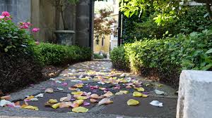 Maybe you would like to learn more about one of these? Intimate Weddings In A Historic Bed And Breakfast In Savannah Ga Forsyth Park Inn