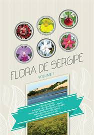 Image result for Heteranthoecia  guineensis