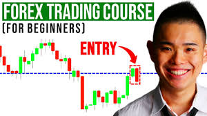 How To Trade Forex For Beginners [Ultimate Guide] - Trade-In.Forex
