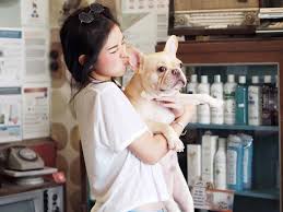 Pet vet is a well respected small animal veterinary clinic located in franklin, tennessee. Dog Owners Guide In Singapore Pet Friendly Cafes And Restaurants Pools Vets Grooming Hotels Adoption And More