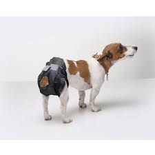 Savic Comfort Nappy Kopek Alt Bezi T5 12li Mybest Petshop