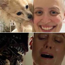 Fundraiser for Lauren Cody by Claudia Evans-Sandoval : Lauren Cody's Breast  Cancer Fund