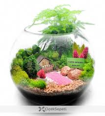Ideas De Diseno De Jardines Paisajismo Disenodejardinesinteriores Jardin En Miniatura Jardines Jardin De Hadas