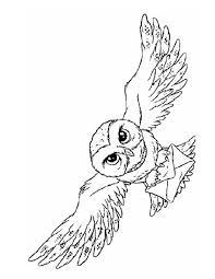 Please choose your favorites then color them as you like. 8 Ordinaire Coloriage Hibou Photograph Harry Potter Coloring Pages Harry Potter Colors Harry Potter Owl