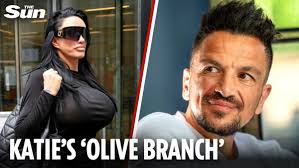 Peter Andre returns to social media with telling family snap after being  slammed by ex Katie