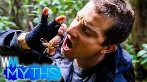 Extreme survival 2024