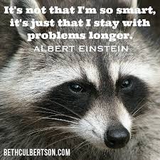 It S Not That I M So Smart It S Just That I Stay With The Problem Longer Albert Einstein Animali Selvaggi Animali Carini Procioni