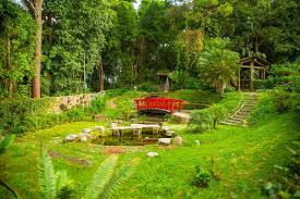 Parque Saburo Hirao, destino natural de recreación y aprendizaje