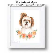 Maybe you would like to learn more about one of these? Pin On Dog Breeds