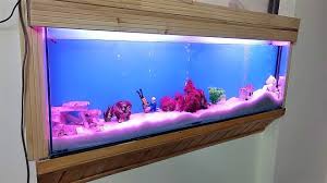Mera Dream Aquarium Ban Gia Fresh Water Fish Tank Decorated Aquarium Fresh Water Fish Tank Aquarium Fish Tank Freshwater Fish