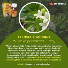 Zaman sekarang banyak orang yang mendambakan badan kurus, baik itu karena penggambaran sosok badan ideal di berbagai iklan maupun berbagai meme di dunia maya. Madu Diet Ath Thoifah Kurus Langsing Penurun Berat Badan Shopee Indonesia