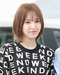 Much like her fellow group members, wendy was also part of the sm rookies project. Wendy Singer Wikipedia