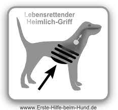 Erste Hilfe Beim Hund Heimlich Griff