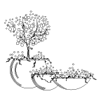 Landscaping plans residential garden 5231 kb bibliocad. Cad Drawings Of Garden Landscaping Plant Trees Bushes Dwg Dxf