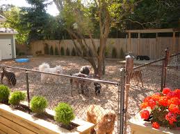 A skilled professional can guide you through the process of figuring out a style, deciding who will be using the yard, creating zones of activity, choosing materials and plants, and recommending builders and contractors for everything from swimming pools. Low Maintenance Dog Friendly Backyard Landscaping Ideas Novocom Top