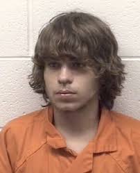 Police: North East man 'aimed' car at pole before crash