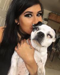 Dealing with pet loss and picking up ashes