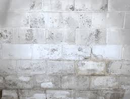 For walls, floors, and other hard surfaces, use a. Ugly Basement Stains What They Are How To Deal With Them Acculevel