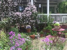 Cottage Garten Pflanzen Fur Faule Hier Stelle Ich Dir Meine Genugsamsten No Work No Time Pflanzen Vor Die Dich Ja Cottage Garten Garten Pflegeleichter Garten