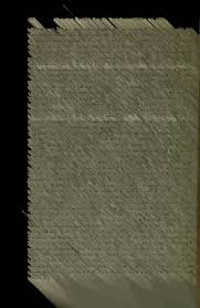 Image result for Nesaea passerinoides