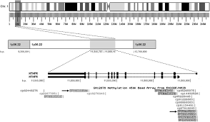 Serum Cholesterol Mthfr Methylation And Symptoms Of Depression In Children
