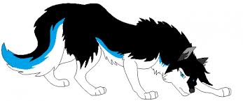 Anime Black And White Wolf With Wings Black Blue And White Wolf Lobo