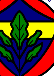 Rice university athletic logo vector. Fenerbahce Spor Kulubu Logo Download Logo Icon Png Svg