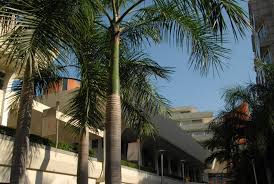 Working as a network helps to keep sriracha patient care more consistent and a cut above the rest. Samitivej Sukhumvit Hospital Bangkok Mapio Net