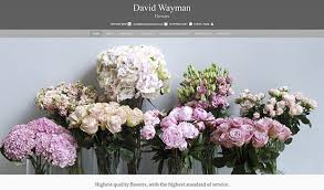 We did not find results for: Florispro Websites For Florist Examples