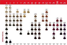 Igora Royal Color Chart Igora Hair Color Matrix Color