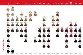 Igora Royal Color Chart 1 Cendre Silver Ash 2 Ash