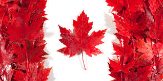 Image result for wicked canadian