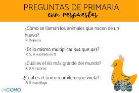 Juegos completos de pc y para juegar en internet. 100 Preguntas De Primaria Con Respuestas Divertidas Y Capciosas