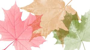 Autumn” vs. “Fall:” What Was the Season Called First? | Dictionary.com