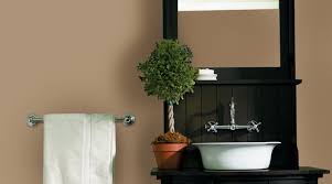 The best bathroom paint you can buy is dulux bathroom+ emulsion paint. Bathroom Paint Color Ideas Inspiration Gallery Sherwin Williams