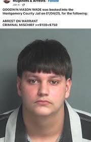 GOODWIN, MASON W Arrest Date: 05/03/2025 Offenses:
