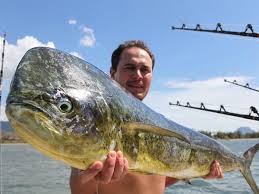 Pin By Tyler Whitney On Volga Fishing Boat Fishing Boats Big Game Fishing Fish