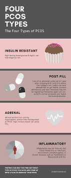 Four Pcos Types Pcos Pcos Diet Stopping Birth Control