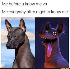 Me before u know me vs Me everyday after u get to know me - iFunny | Funny  animal memes, Animal memes, Funny animal pictures