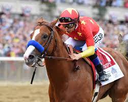 When Should Thoroughbreds Start Racing The Horse